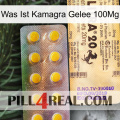 What Is Kamagra Jelly 100Mg new06